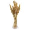Natural Cantal Grass Bunches in 8 Colours