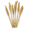 Natural Cantal Grass Bunches in 8 Colours