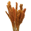 Natural Cantal Grass Bunches in 8 Colours