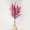 Large Rayung Dried Grass Displays in Variety of Colours