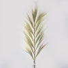 Large Rayung Dried Grass Displays in Variety of Colours