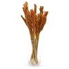 Natural Cantal Grass Bunches in 8 Colours