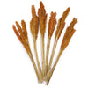 Natural Cantal Grass Bunches in 8 Colours