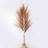 Large Rayung Dried Grass Displays in Variety of Colours