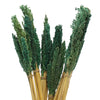 Natural Cantal Grass Bunches in 8 Colours