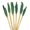 Natural Cantal Grass Bunches in 8 Colours