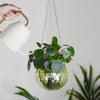 Disco Ball Hanging Planter - Green (6in)