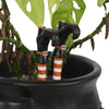 Set of 2 Witch Leg Halloween Planter Pal Ornaments