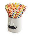 Moustache Man White Ceramic Pot
