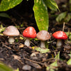 A set of four small, decorative toadstools with red caps and white spots, designed to be placed in plant pots or gardens.