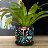 A ceramic plant pot with a dark forest print, featuring illustrations of mushrooms, leaves, and stars, accompanied by a matching saucer, with a plant growing in it.