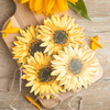 Summer Sunflower Shape Set of 4 Coasters